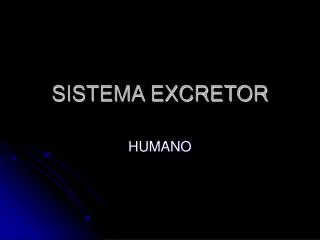 sistema excretor
