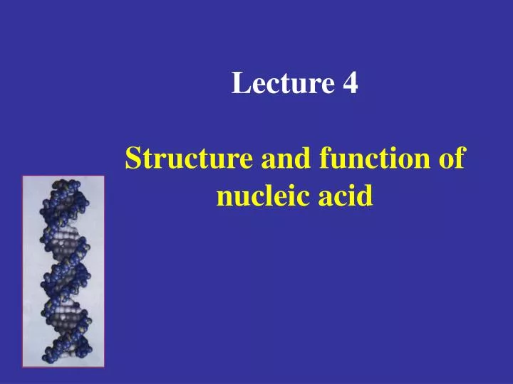lecture 4 structure and function of nucleic acid