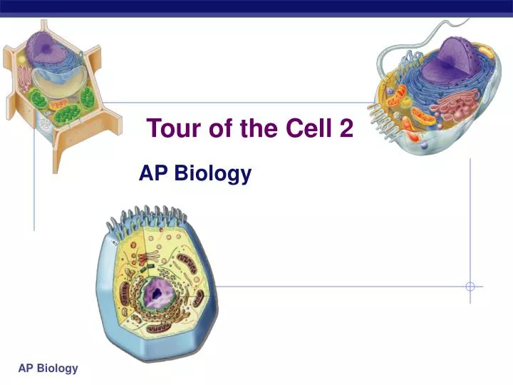 tour of the cell 2