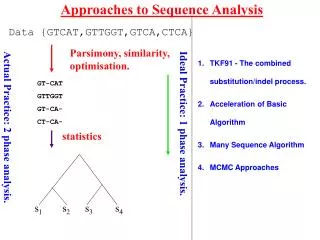 Approaches to Sequence Analysis