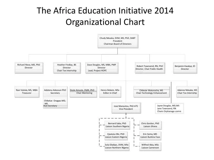 the africa education initiative 2014 organizational chart