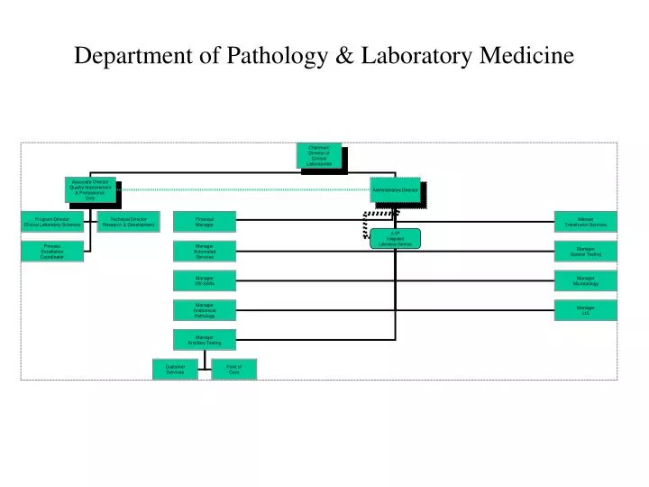 department of pathology laboratory medicine