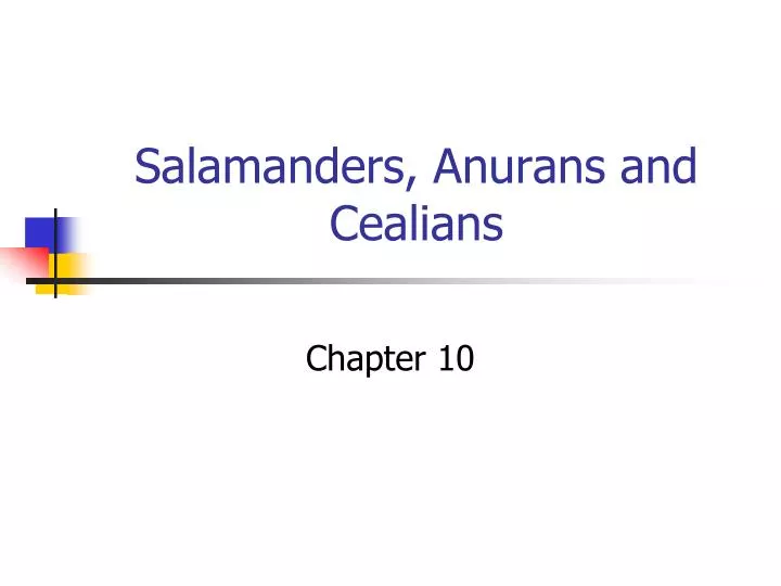 salamanders anurans and cealians