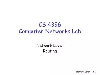 cs 4396 computer networks lab