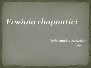 Erwinia rhapontici