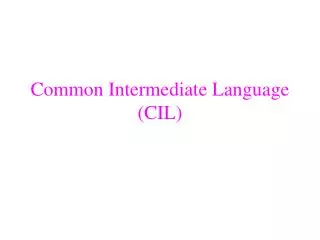 Common Intermediate Language (CIL)