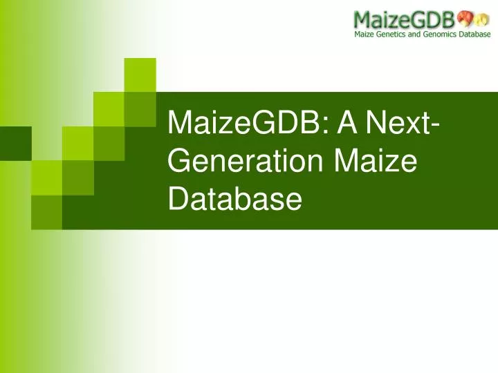 maizegdb a next generation maize database