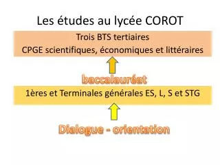 les tudes au lyc e corot