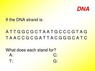 DNA