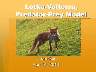 Lotka-Volterra, Predator-Prey Model