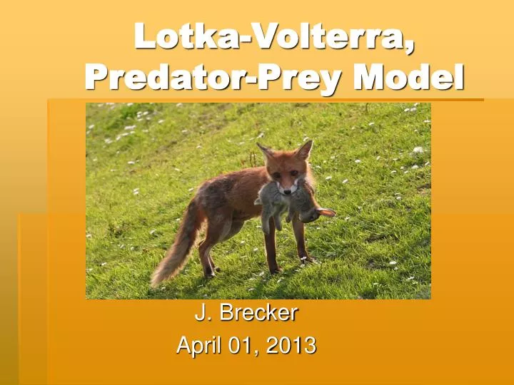 lotka volterra predator prey model