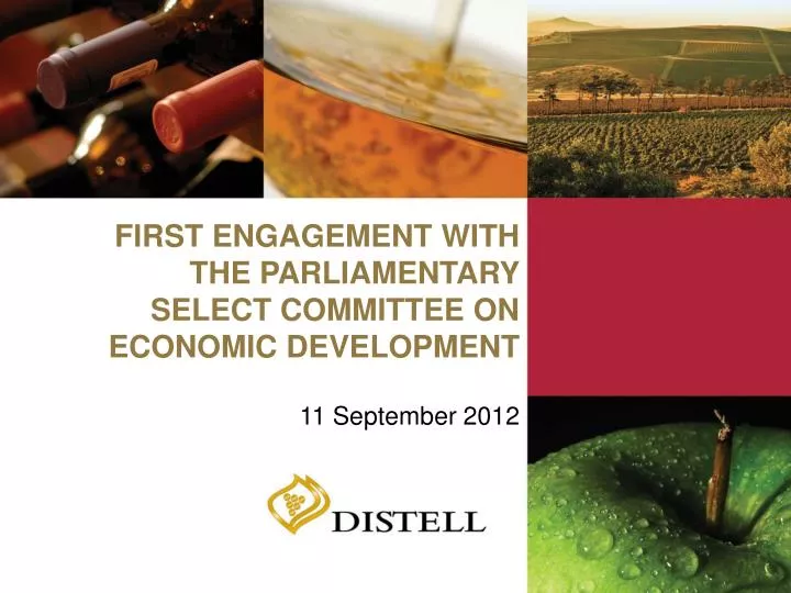 first engagement with the parliamentary select committee on economic development 11 september 2012