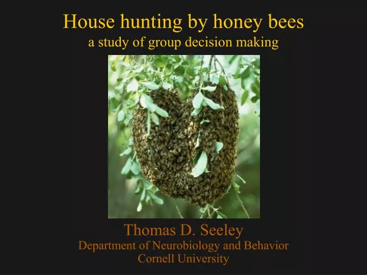 house hunting by honey bees a study of group decision making