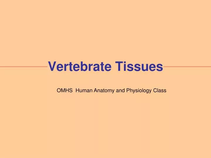 vertebrate tissues