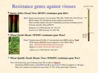 Resistance genes against viruses