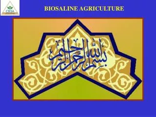 BIOSALINE AGRICULTURE