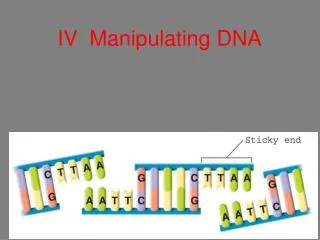 IV Manipulating DNA