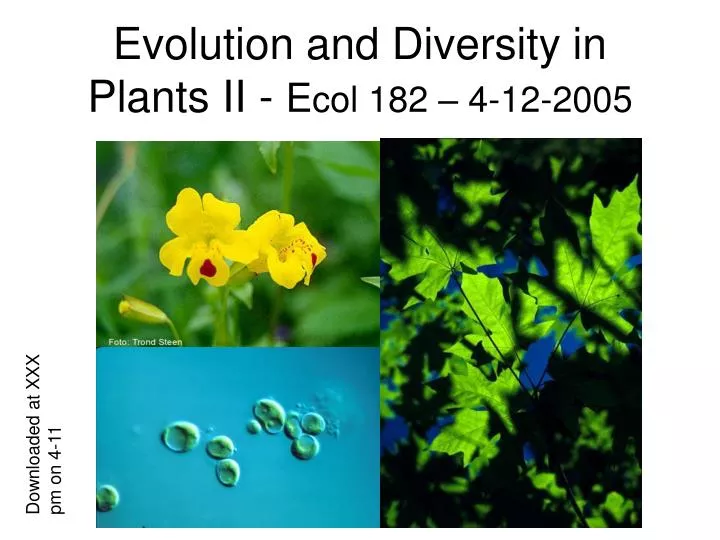 evolution and diversity in plants ii e col 182 4 12 2005