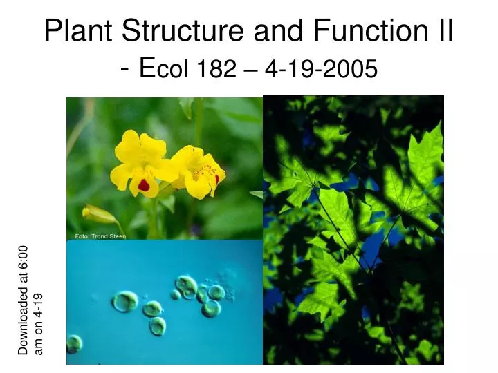 plant structure and function ii e col 182 4 19 2005