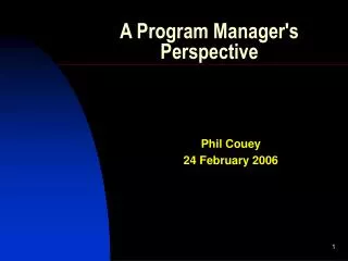 A Program Manager's Perspective