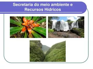 secretaria do meio ambiente e recursos h dricos
