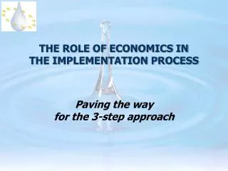 THE ROLE OF ECONOMICS IN THE IMPLEMENTATION PROCESS