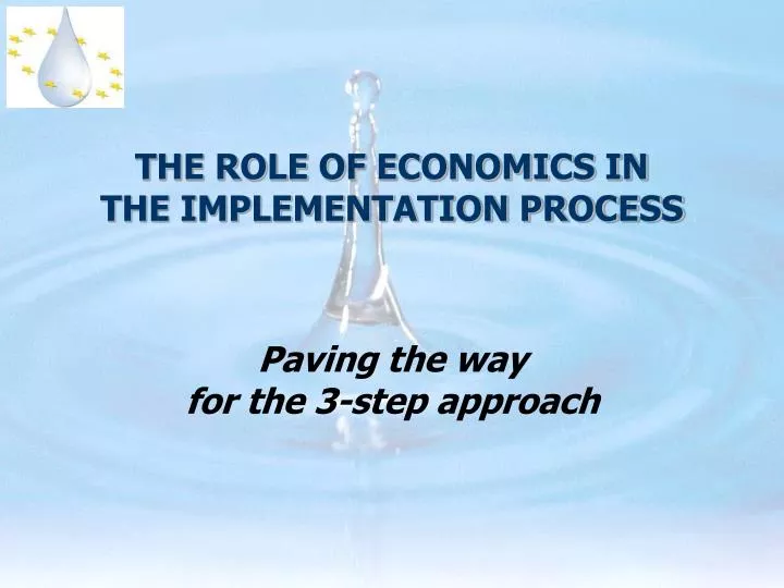 the role of economics in the implementation process