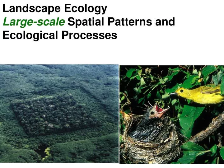 landscape ecology large scale spatial patterns and ecological processes