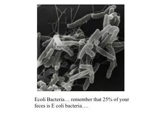 Ecoli Bacteria… remember that 25% of your feces is E coli bacteria….