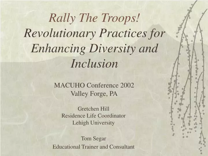 rally the troops revolutionary practices for enhancing diversity and inclusion