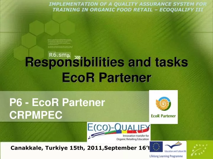 responsibilities and tasks ecor partener