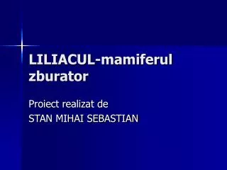 LILIACUL-mamiferul zburator