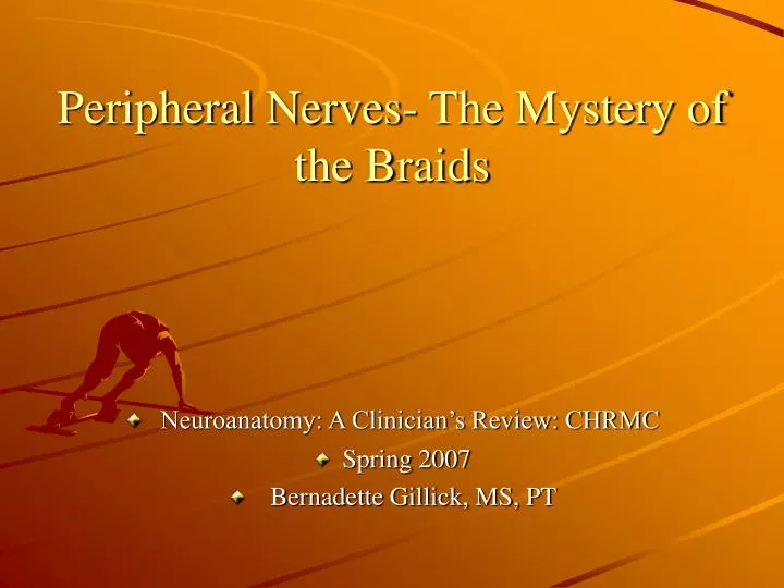 peripheral nerves the mystery of the braids