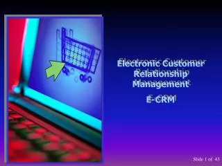 Electronic Customer Relationship Management E-CRM
