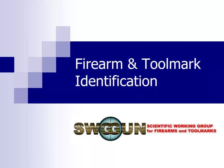 firearm toolmark identification