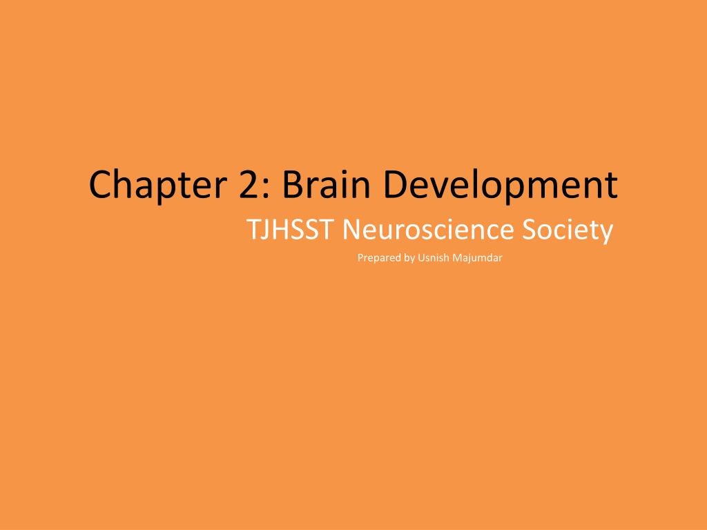 PPT - Chapter 2: Brain Development PowerPoint Presentation, free ...