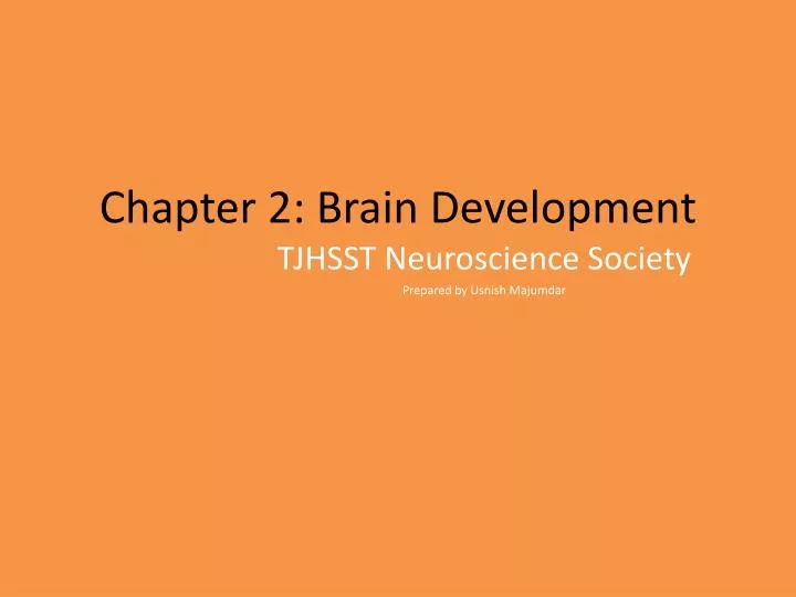chapter 2 brain development