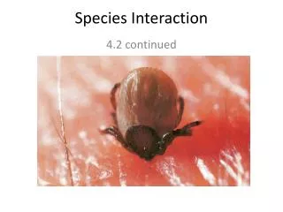 Species Interaction