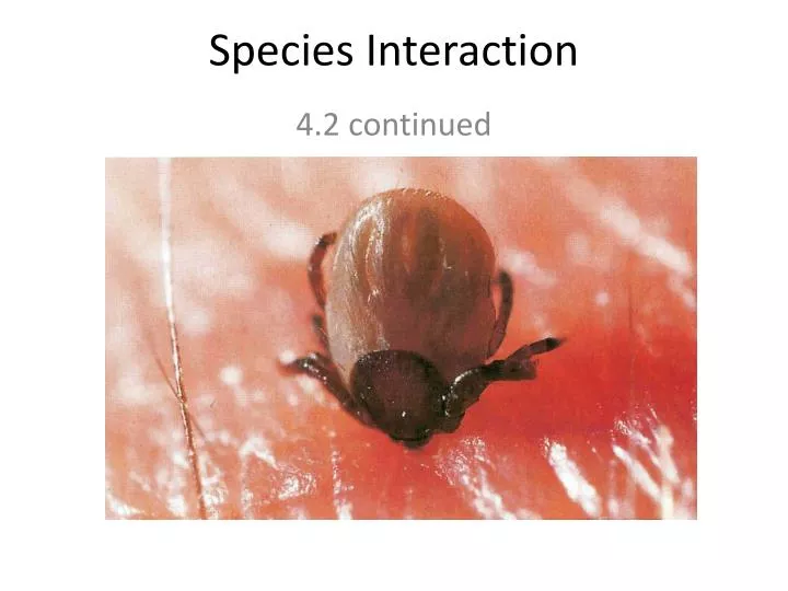 species interaction