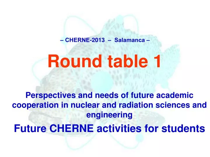 cherne 2013 salamanca round table 1
