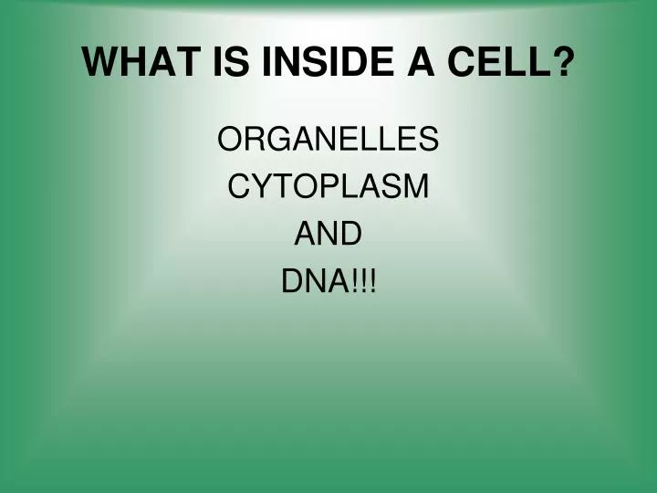 what is inside a cell