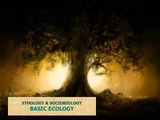 ETHOLOGY &amp; SOCIOBIOLOGY BASIC ECOLOGY