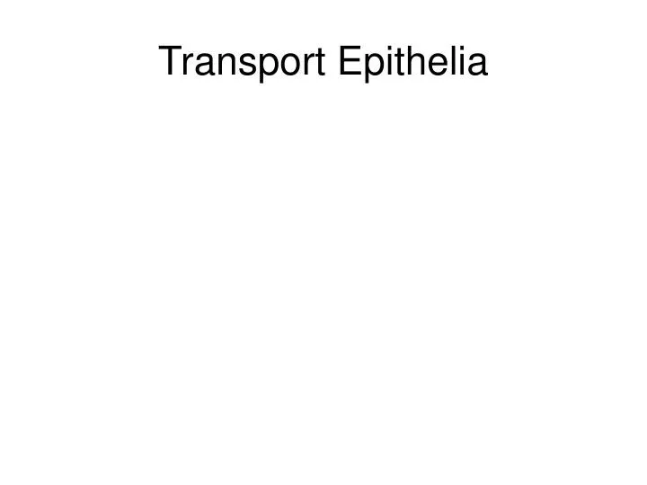 transport epithelia
