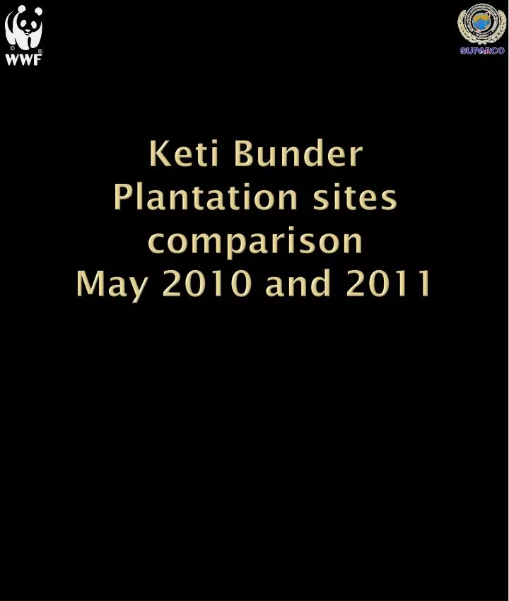 keti bunder plantation sites comparison may 2010 and 2011