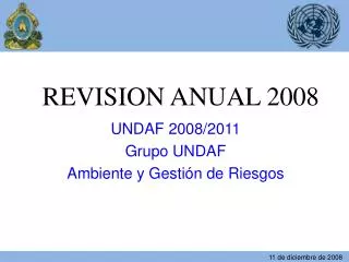 revision anual 2008
