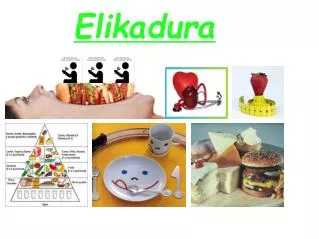 Elikadura