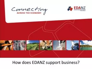 How does EDANZ support business?