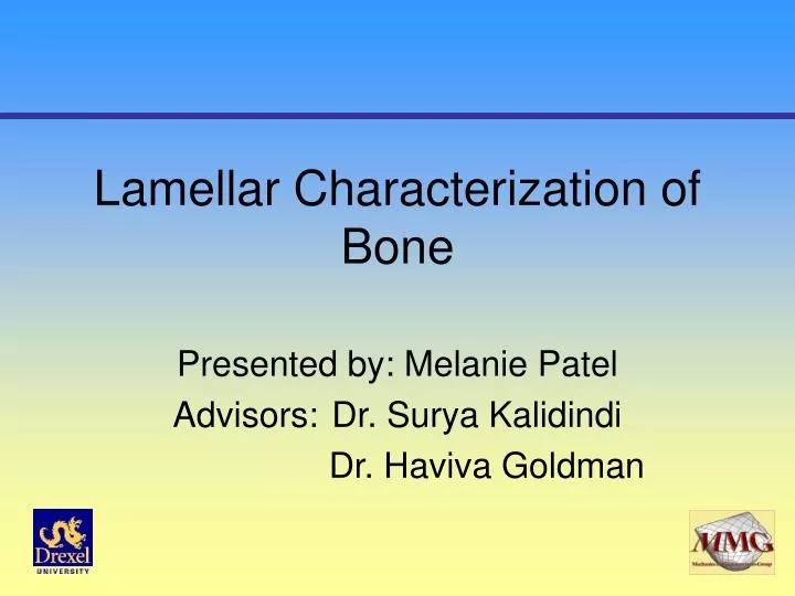 lamellar characterization of bone