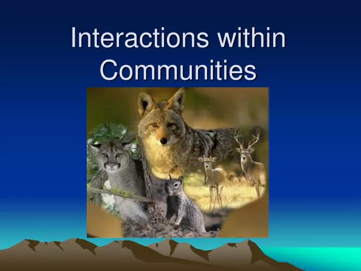 interactions within communities