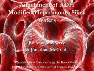 Attachment of ADH Modified Heparin onto Silica Wafers